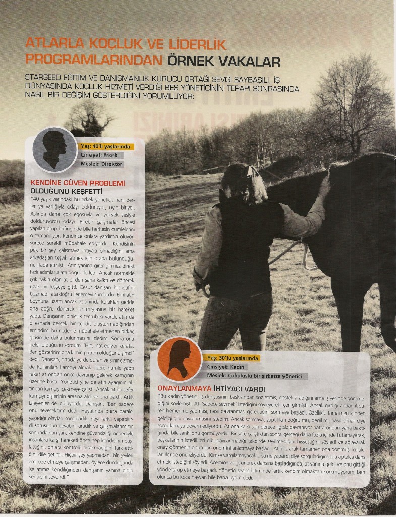 Platin Sevgi DS cases