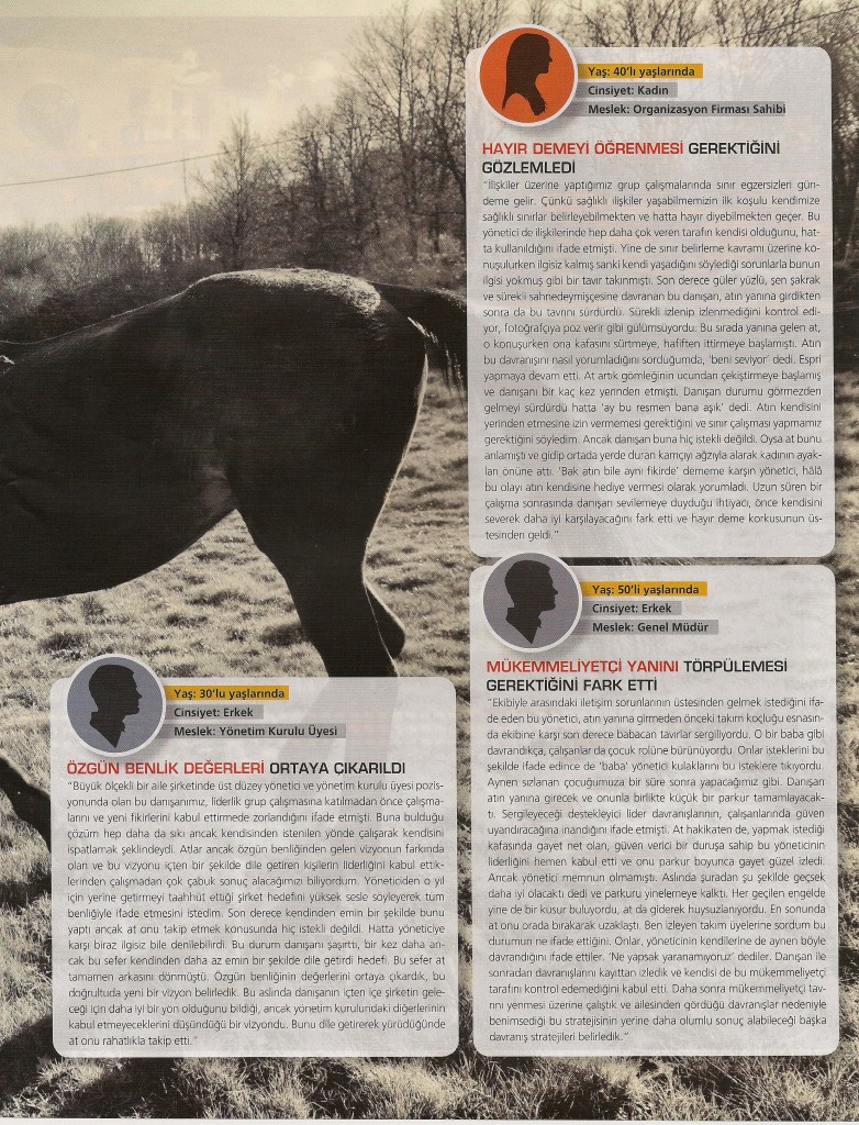 Platin Sevgi DS cases2