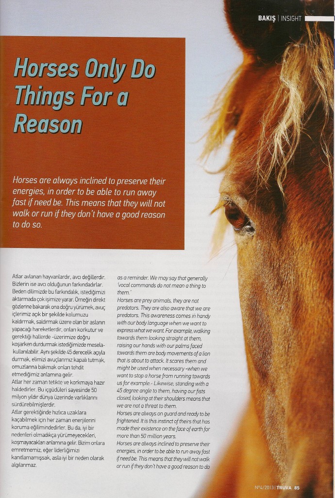 TruvaSevgiSaybasili2