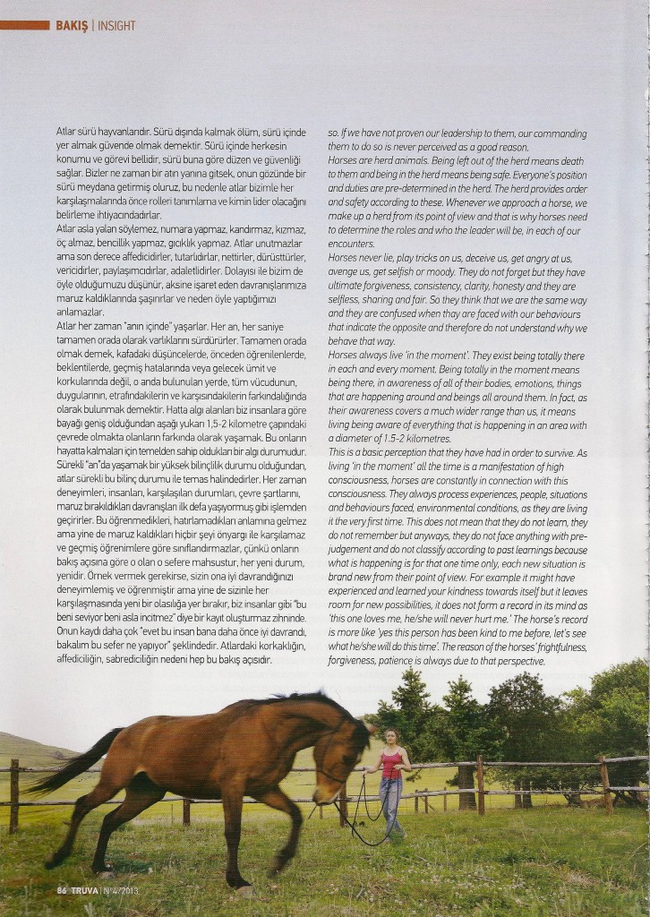 TruvaSevgiSaybasili3