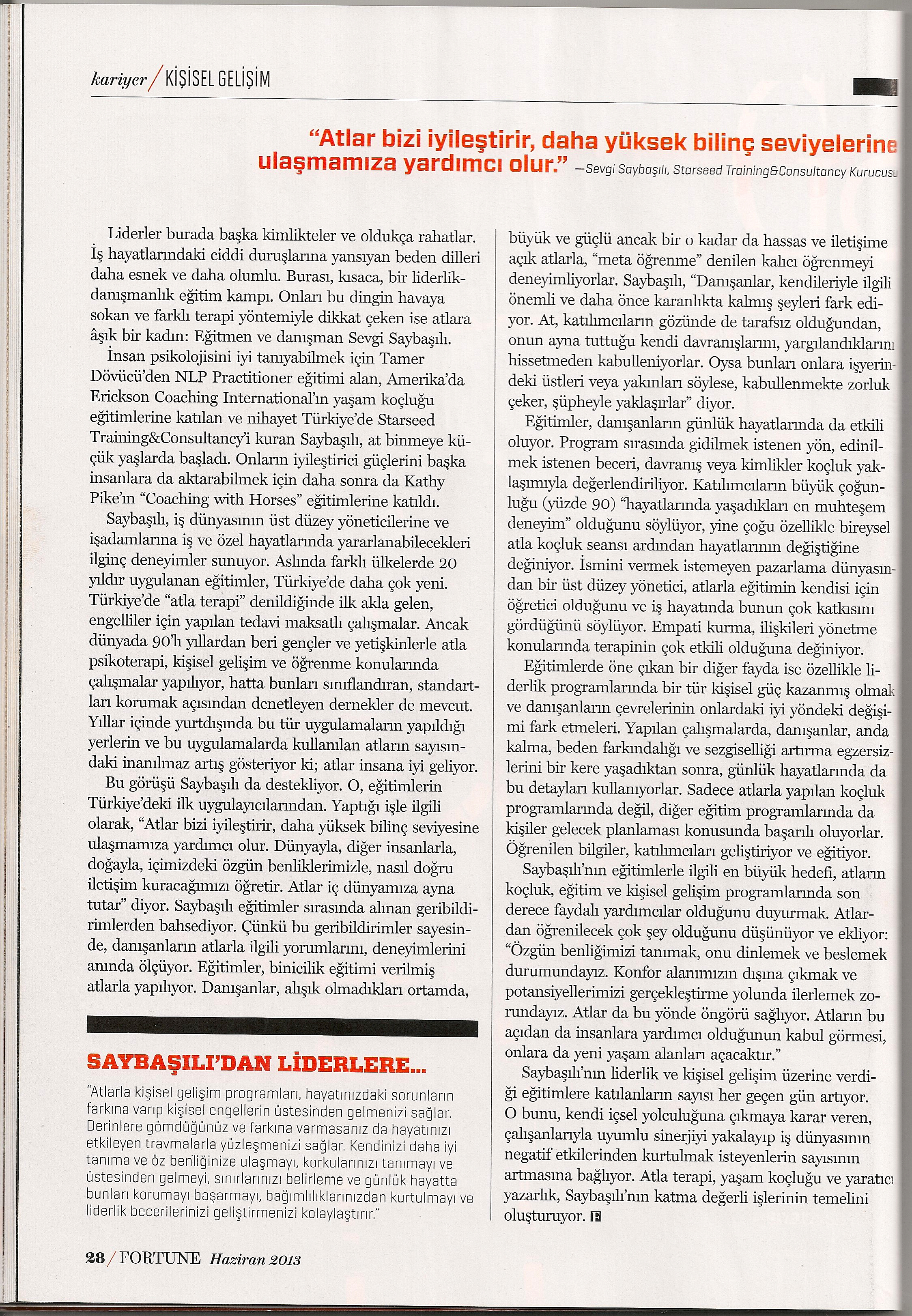 Fortune Sayfa2 SevgiSaybaşılı