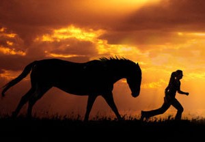 Liderin Kim Olduğunu Göstermek (2. Bölüm)