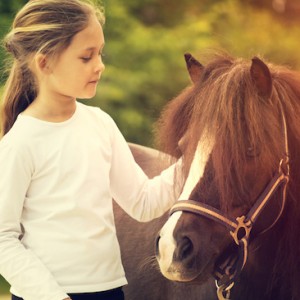 Atım Beni Seviyor mu?